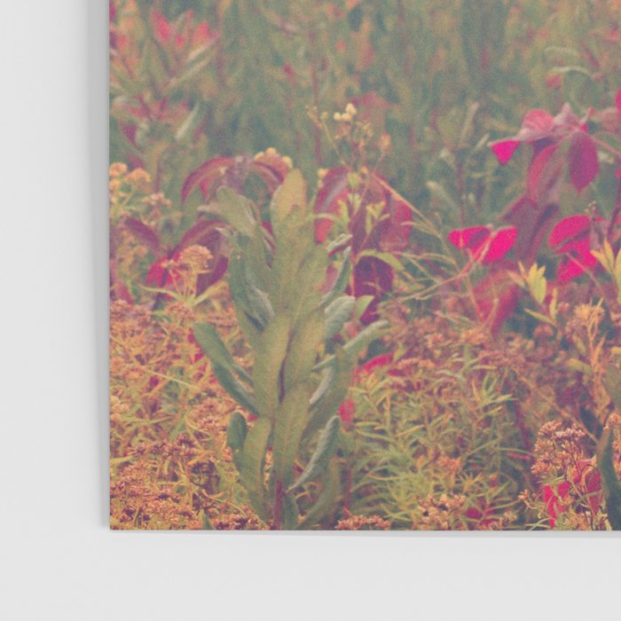 Autumn in New England Poster Gallery Image 3