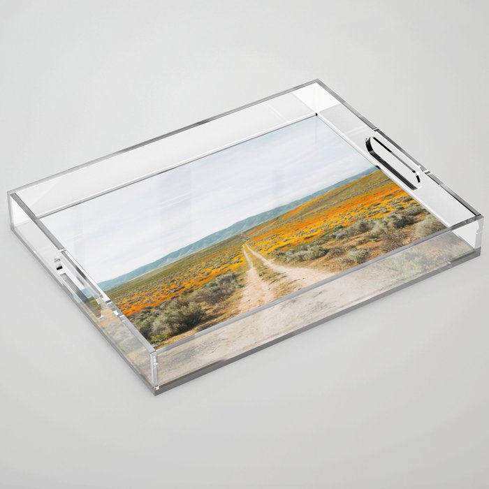 Road Less Traveled Acrylic Tray Gallery Image 1
