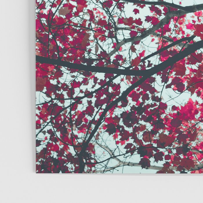 Red Leaves - Autumn Art Poster Gallery Image 3