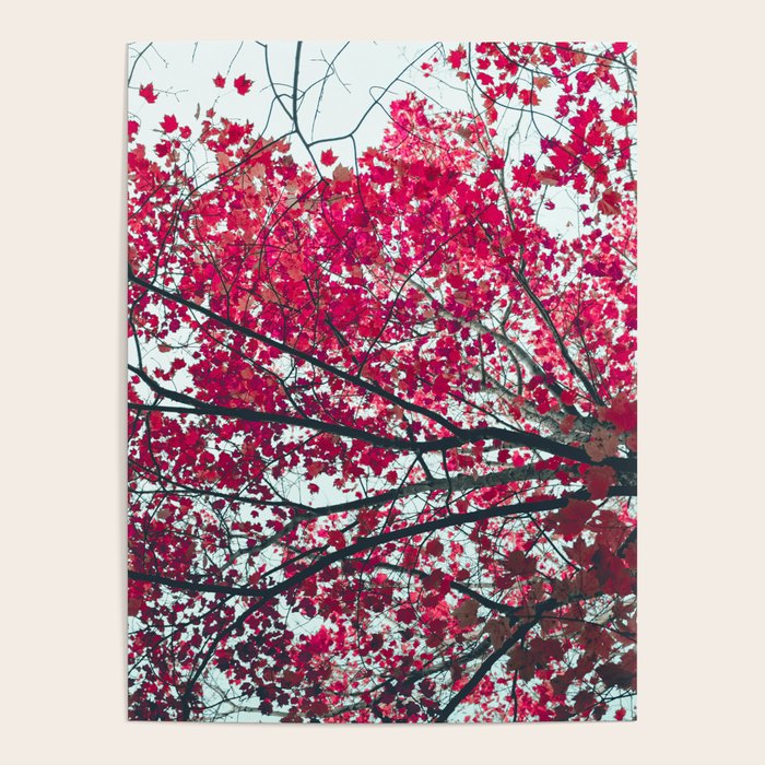 Red Leaves - Autumn Art Poster Gallery Image 4