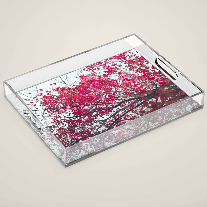 Red Leaves - Autumn Art Acrylic Tray Gallery Image 1