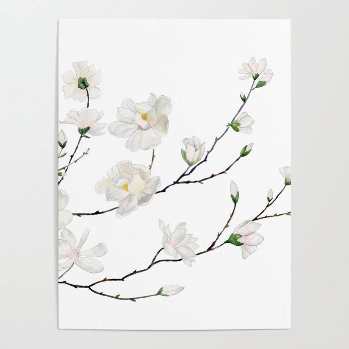 Magnolias  Poster Gallery Image 4