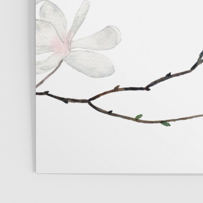 Magnolias  Poster Gallery Image 3