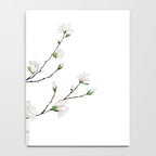 Magnolias  Notebook Gallery Image 4