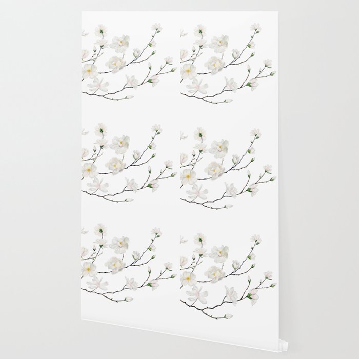 Magnolias  Wallpaper Gallery Image 2