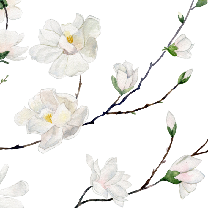 Magnolias  Coffee Mug Gallery Image 2