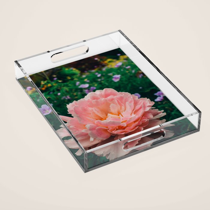 Coral Pink Peony Botanical Study Acrylic Tray Gallery Image 1