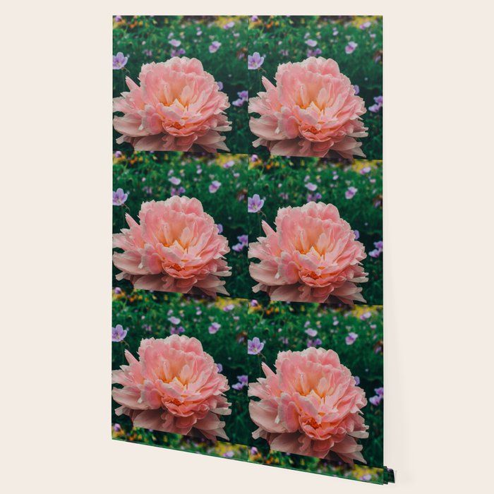 Coral Pink Peony Botanical Study Wallpaper Gallery Image 2