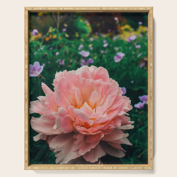 Coral Pink Peony Botanical Study Serving Tray Gallery Image 1