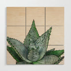 nature VI cactus Wood Wall Art Gallery Image 1