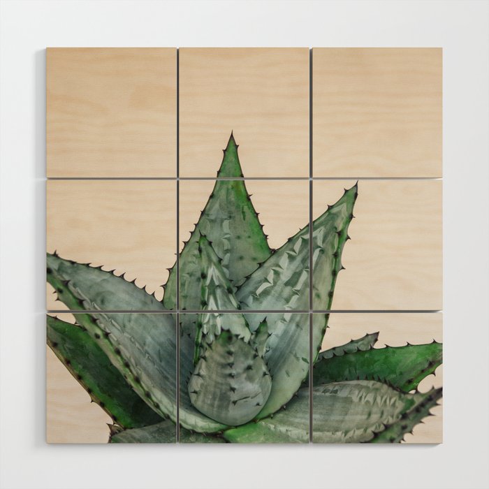 nature VI cactus Wood Wall Art Gallery Image 1