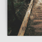 Follow Me Poster Gallery Image 3