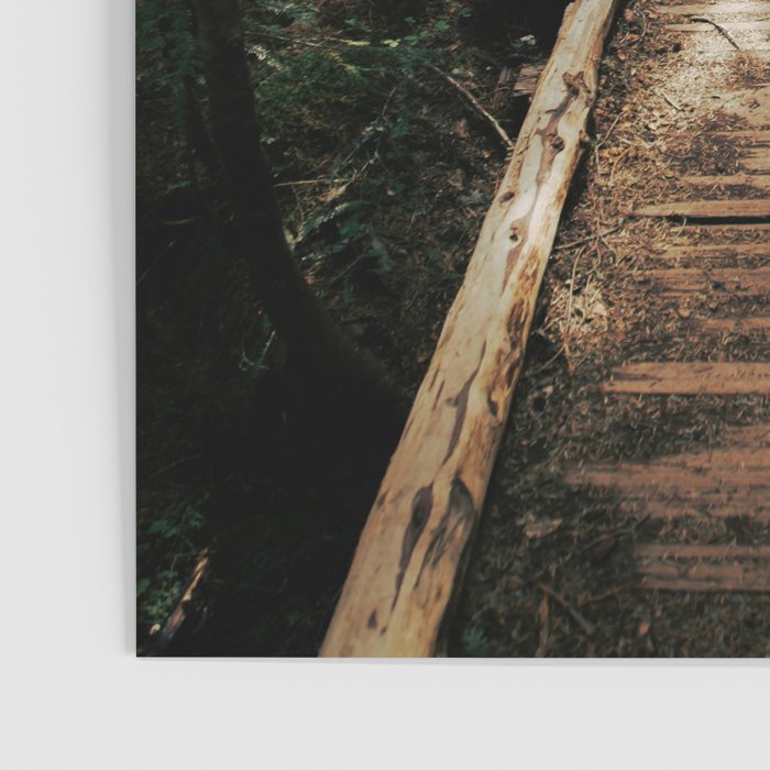 Follow Me Poster Gallery Image 3