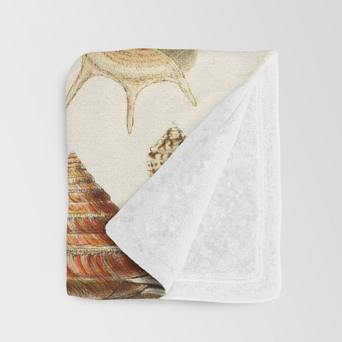 Seashells Collection Throw Blanket Gallery Image 3