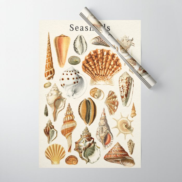 Seashells Collection Wrapping Paper Gallery Image 1