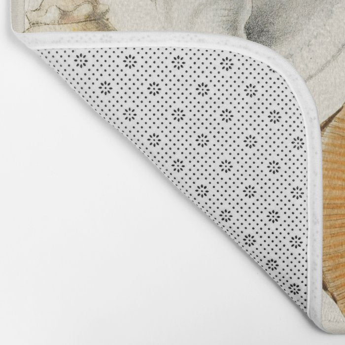 Seashells Collection Bath Mat Gallery Image 2