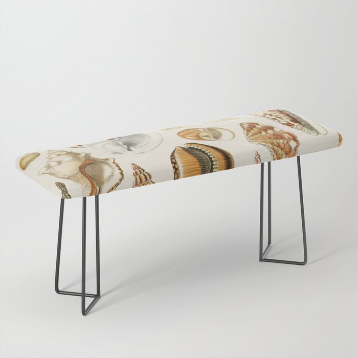 Seashells Collection Bench Gallery Image 1