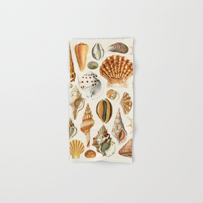Seashells Collection Bath Towel Gallery Image 1