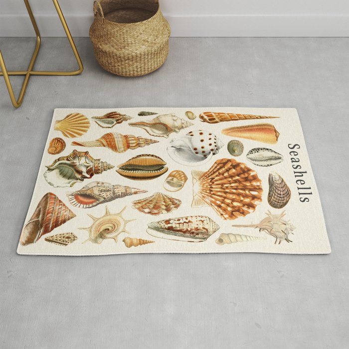 Seashells Collection Rug Gallery Image 1