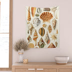 Seashells Collection Wall Tapestry Gallery Image 2