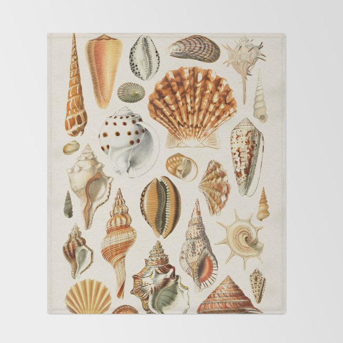 Seashells Collection Throw Blanket Gallery Image 2