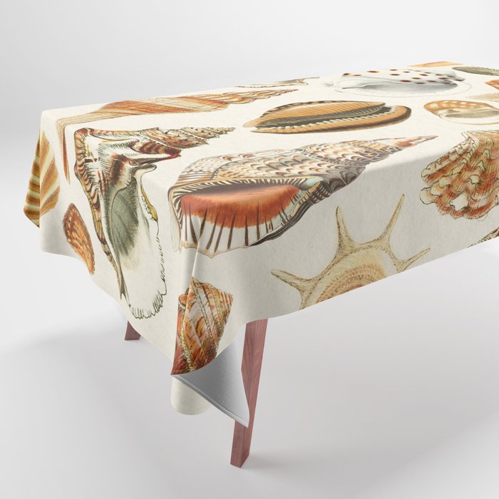 Seashells Collection Tablecloth Gallery Image 1