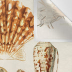 Seashells Collection Wall Tapestry Gallery Image 3