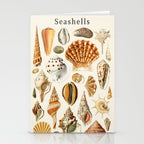 Seashells Collection Stationery Card Gallery Image 2
