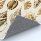 Seashells Collection Rug Gallery Image 4