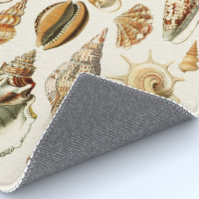 Seashells Collection Rug Gallery Image 4