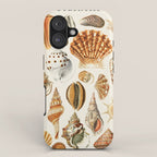Seashells Collection iPhone Case Gallery Image 1