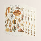 Seashells Collection Wrapping Paper Gallery Image 3