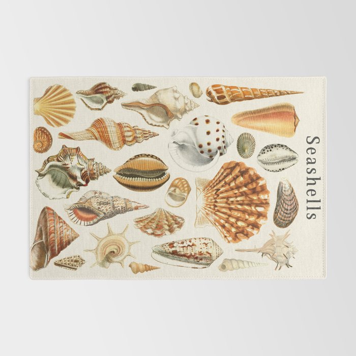 Seashells Collection Rug Gallery Image 2