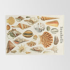 Seashells Collection Rug Gallery Image 2