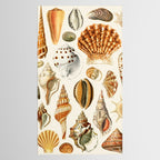 Seashells Collection Tablecloth Gallery Image 2