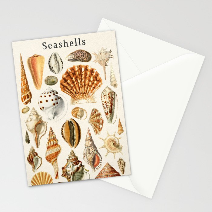 Seashells Collection Stationery Card Gallery Image 2