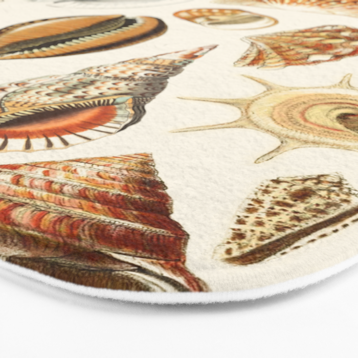 Seashells Collection Bath Mat Gallery Image 3
