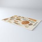Seashells Collection Rug Gallery Image 3