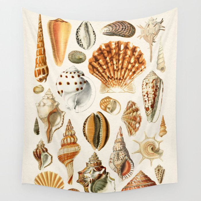 Seashells Collection Wall Tapestry Gallery Image 1