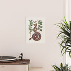 Mimosa Snake Seba Albertus Poster Gallery Image 2