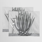 Marfa Texas Agave x West Texas Photography Placemat Gallery Image 1