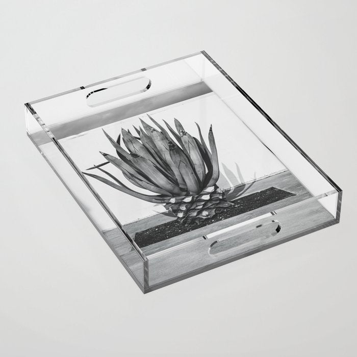 Marfa Texas Agave x West Texas Photography Acrylic Tray Gallery Image 1