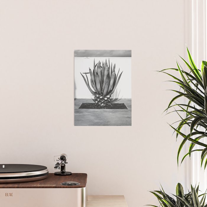 Marfa Texas Agave x West Texas Photography Poster Gallery Image 2