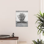 Marfa Texas Agave x West Texas Photography Poster Gallery Image 2