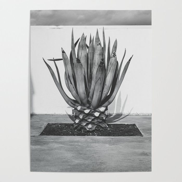 Marfa Texas Agave x West Texas Photography Poster Gallery Image 4