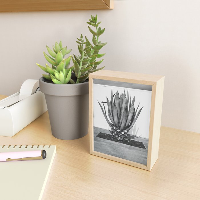 Marfa Texas Agave x West Texas Photography Mini Art Print Gallery Image 2