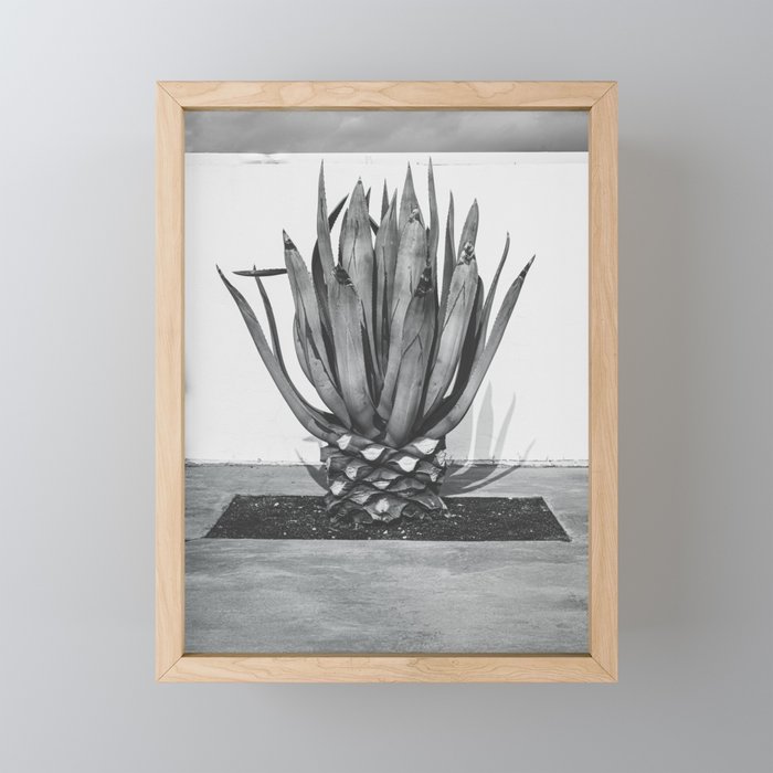 Marfa Texas Agave x West Texas Photography Mini Art Print Gallery Image 1