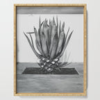 Marfa Texas Agave x West Texas Photography Serving Tray Gallery Image 1