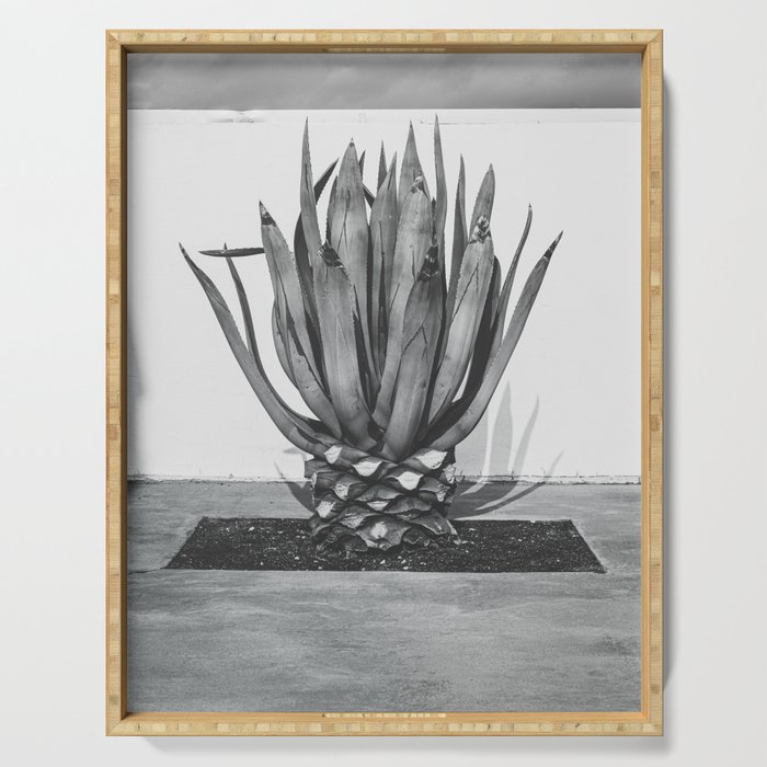 Marfa Texas Agave x West Texas Photography Serving Tray Gallery Image 1