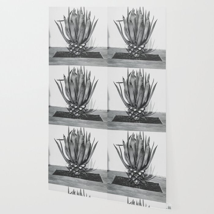 Marfa Texas Agave x West Texas Photography Wallpaper Gallery Image 2